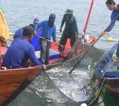 Fishing - imagebs.jpeg